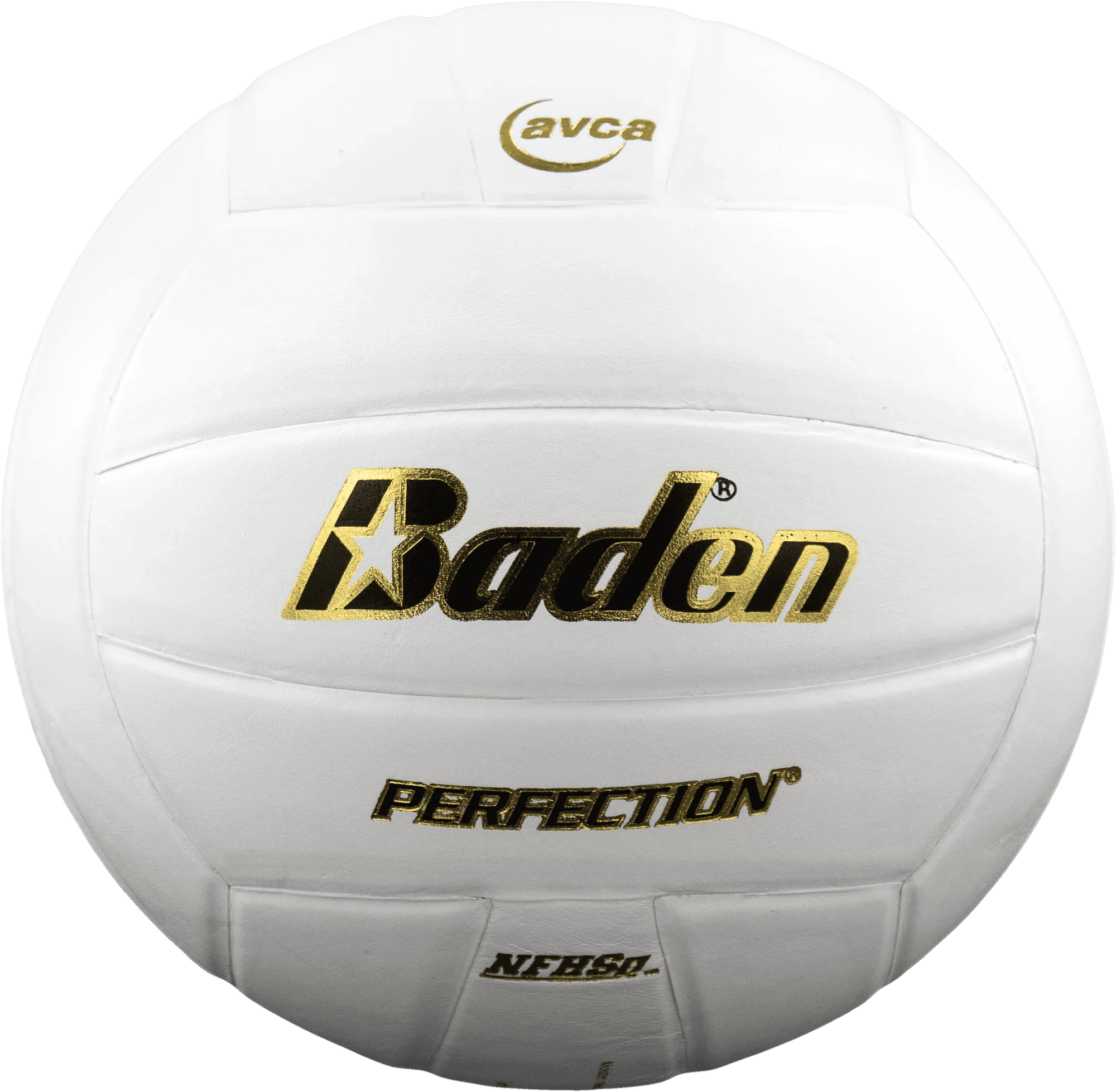 Leather Volleyball | Perfection Series-Baden Sports-Multiple Color Options - Pitch Machine Pros