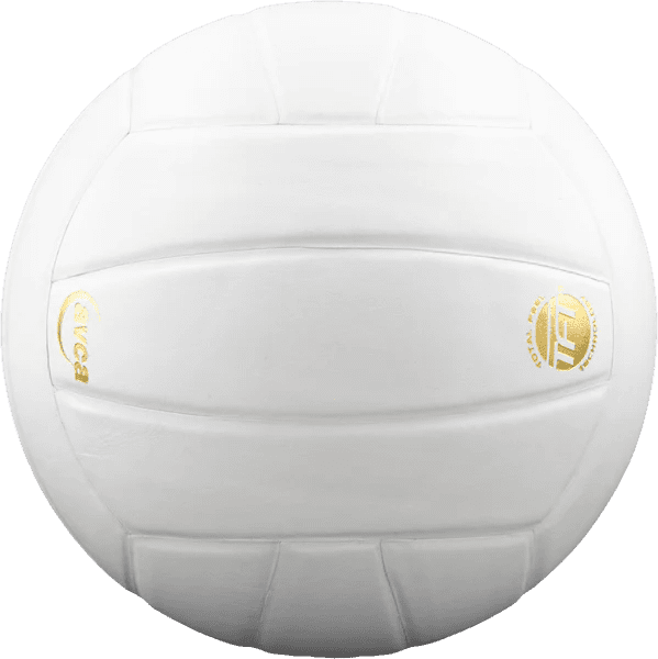 Leather Volleyball | Perfection Series-Baden Sports-Multiple Color Options - Pitch Machine Pros